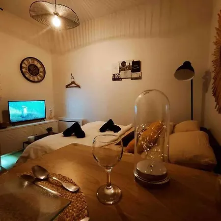 Апартаменты Le Cosy Du Canal. Монтобан