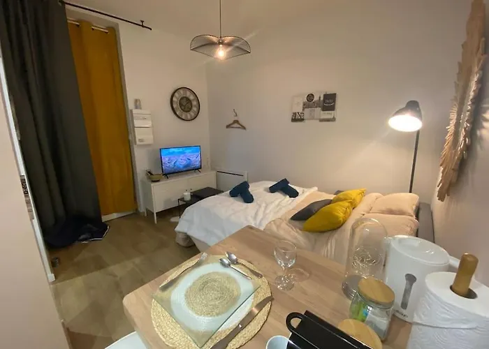 Διαμέρισμα Le Cosy Du Canal. Μοντωμπάν